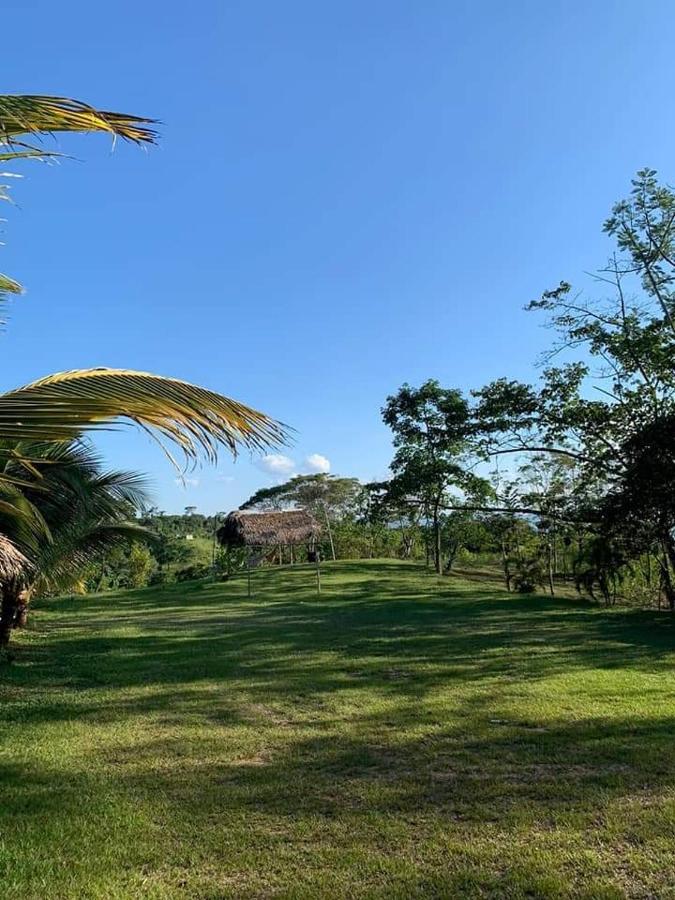 Choclino Ecolodge -Bungalows ตาราโปโต ภายนอก รูปภาพ