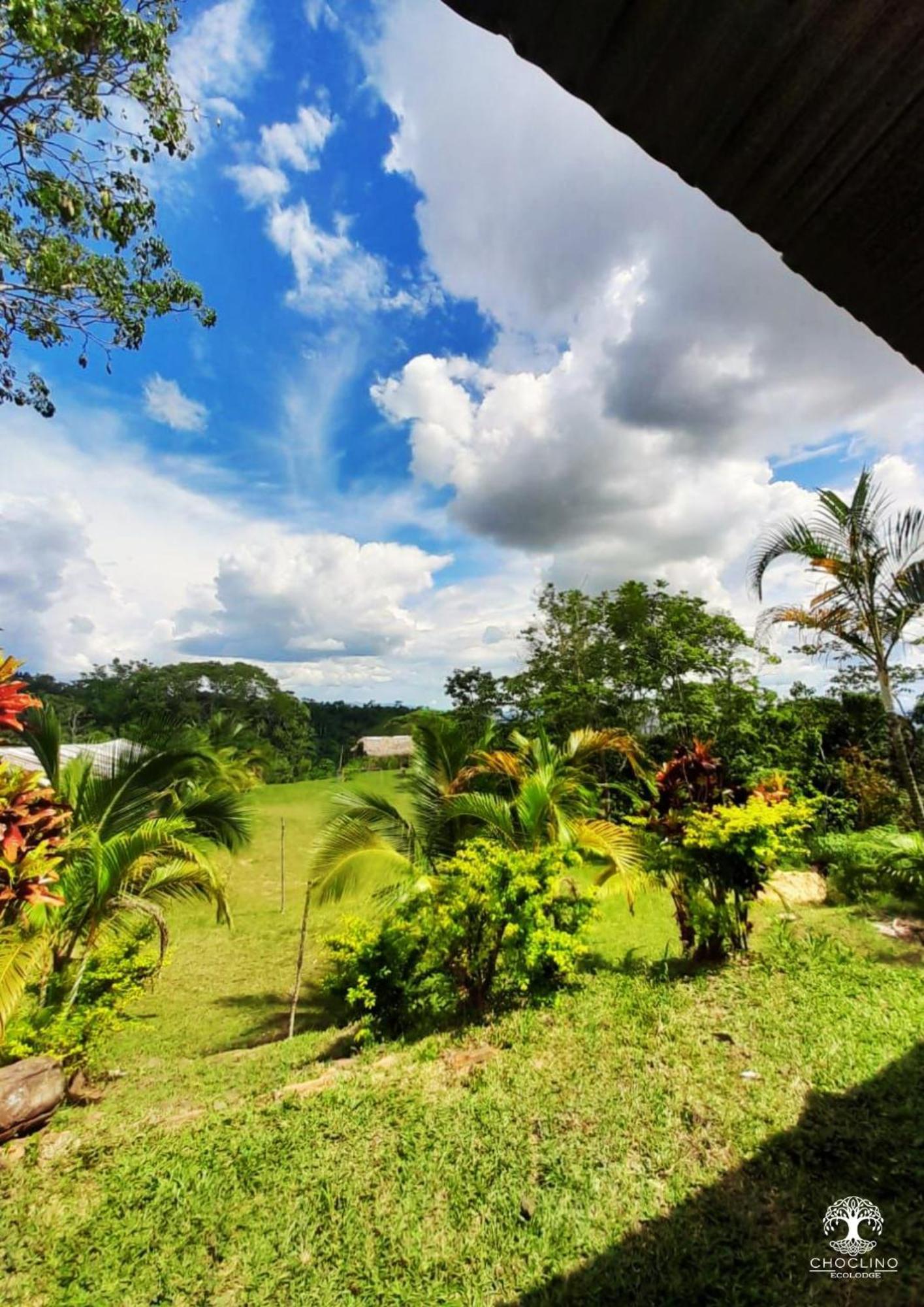 Choclino Ecolodge -Bungalows ตาราโปโต ภายนอก รูปภาพ