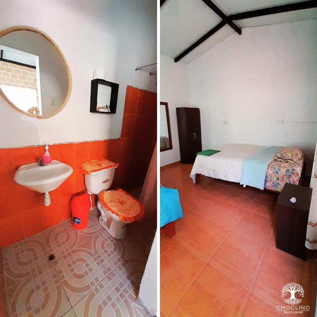 Choclino Ecolodge -Bungalows ตาราโปโต ภายนอก รูปภาพ