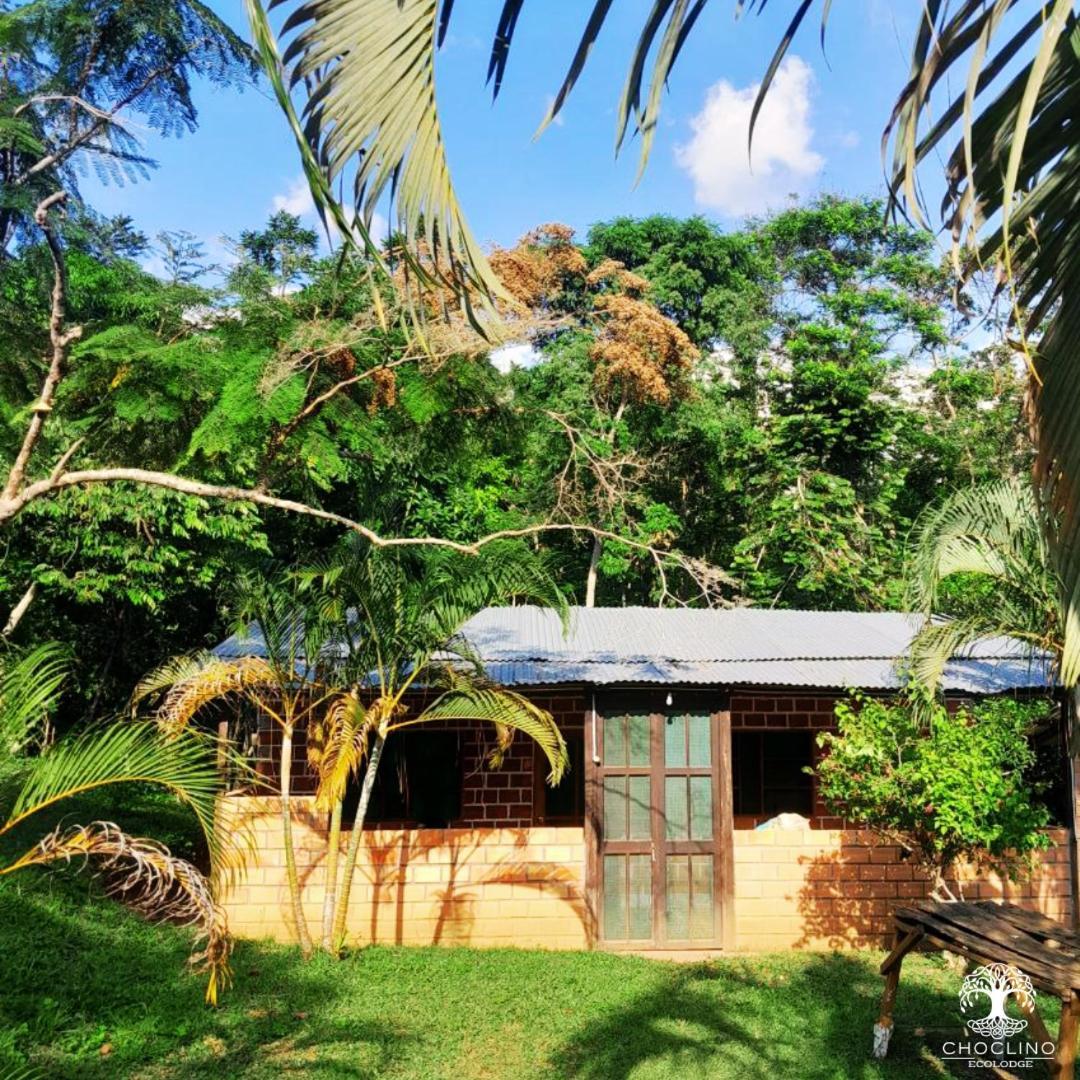 Choclino Ecolodge -Bungalows ตาราโปโต ภายนอก รูปภาพ