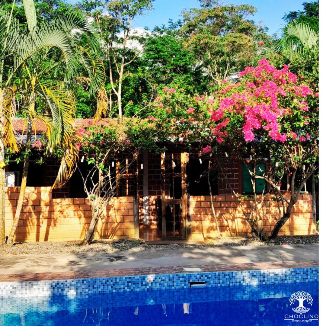 Choclino Ecolodge -Bungalows ตาราโปโต ภายนอก รูปภาพ