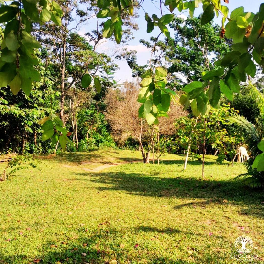 Choclino Ecolodge -Bungalows ตาราโปโต ภายนอก รูปภาพ