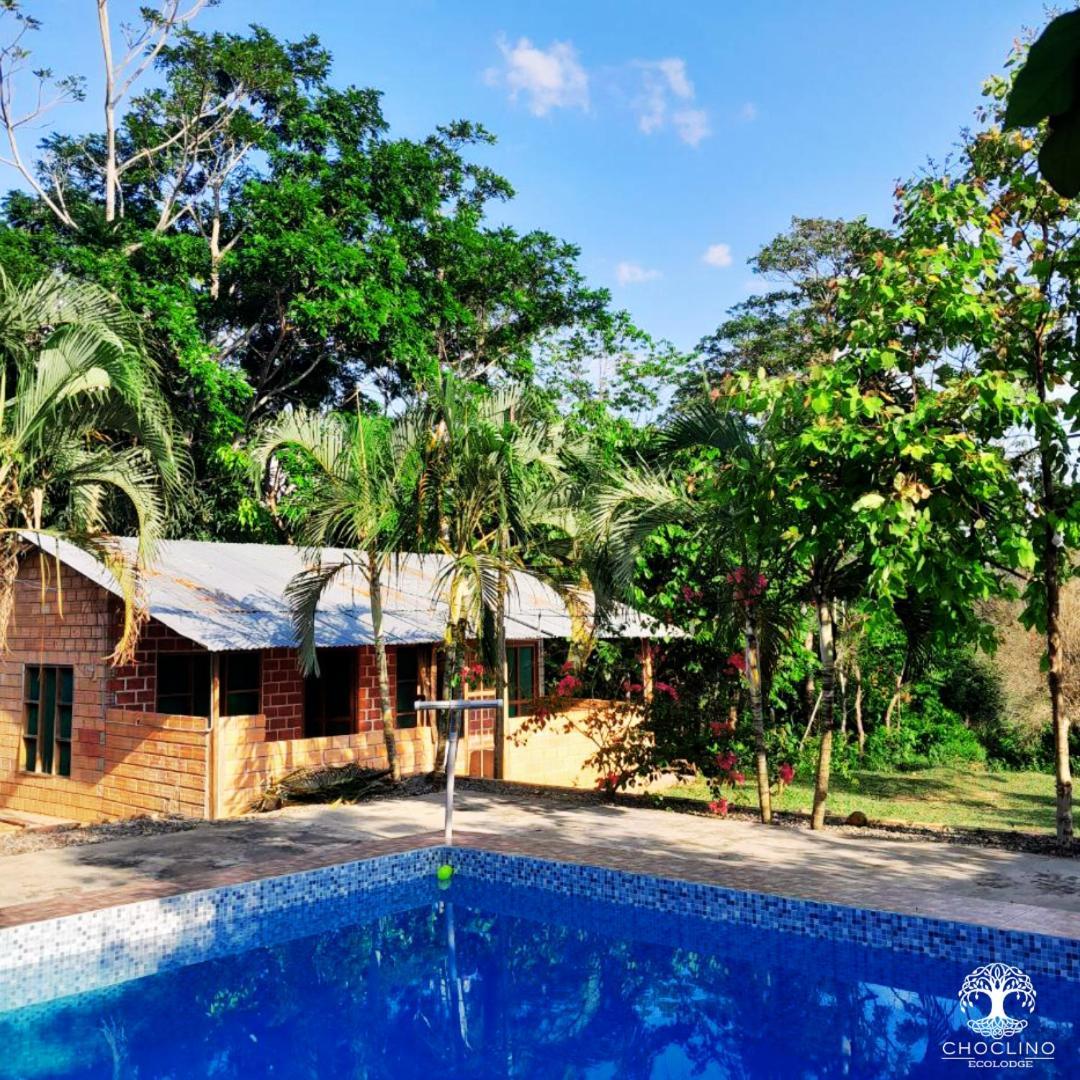 Choclino Ecolodge -Bungalows ตาราโปโต ภายนอก รูปภาพ