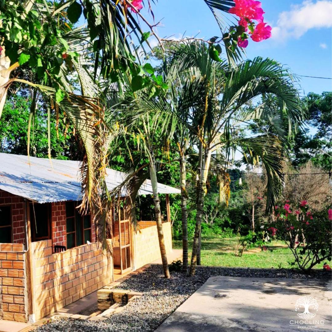 Choclino Ecolodge -Bungalows ตาราโปโต ภายนอก รูปภาพ