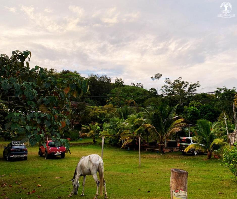 Choclino Ecolodge -Bungalows ตาราโปโต ภายนอก รูปภาพ