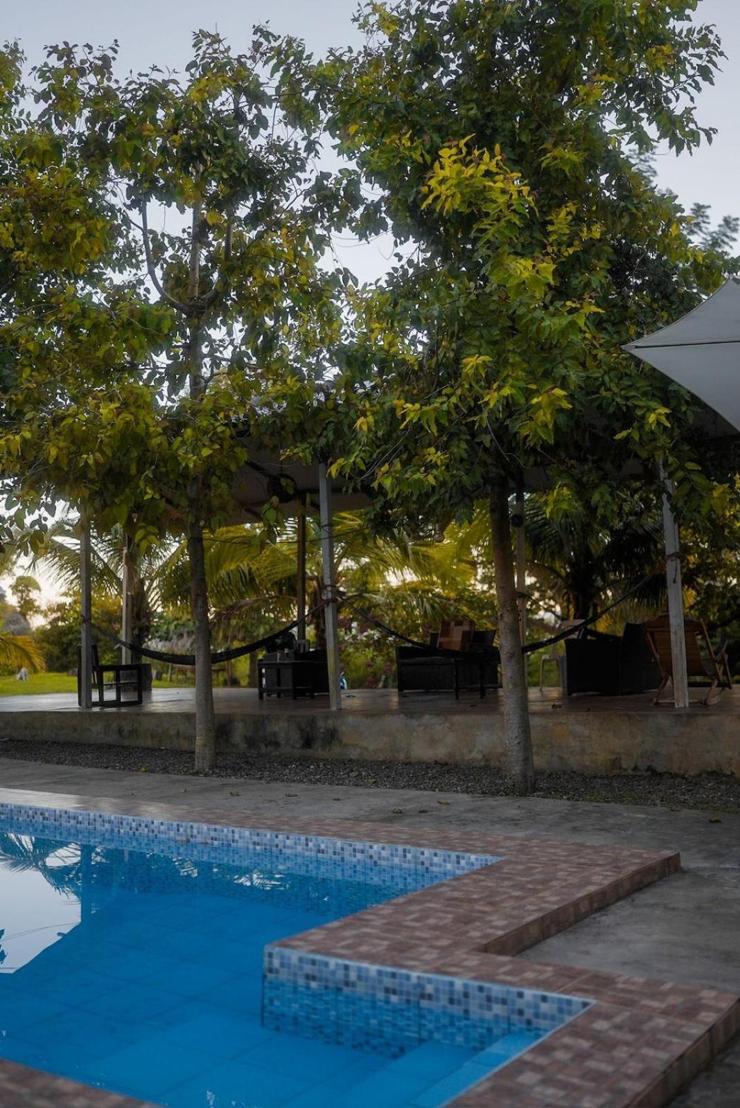 Choclino Ecolodge -Bungalows ตาราโปโต ภายนอก รูปภาพ